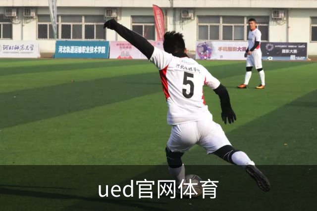 ued官网体育公司介绍图